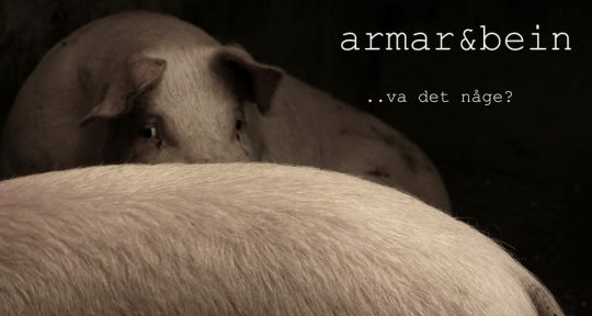 Lørdags-ettermiddagen me Armar og Bein